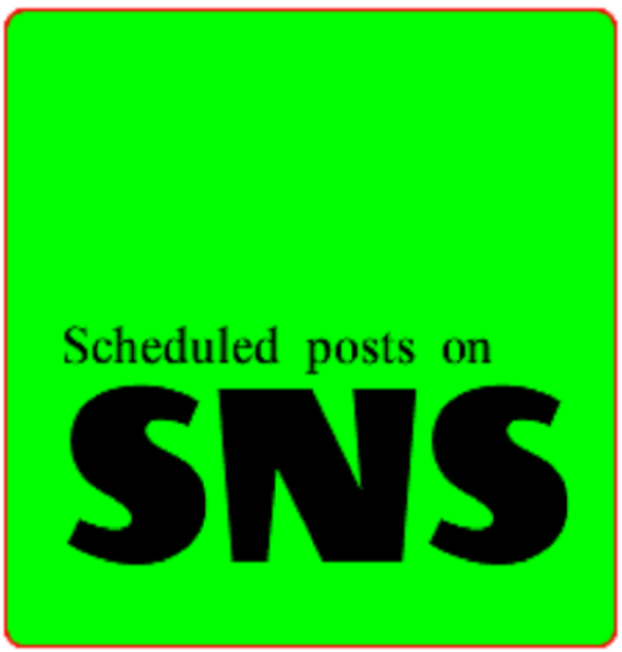 SNS Logo